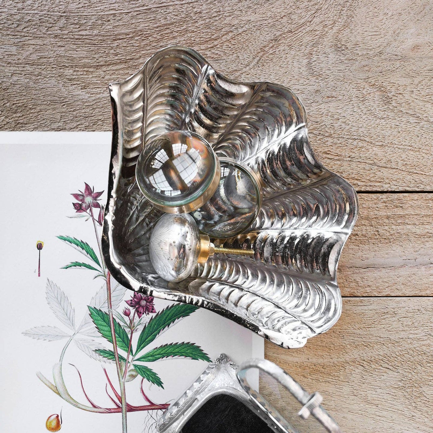 Shell Dish, Nickel-Plated