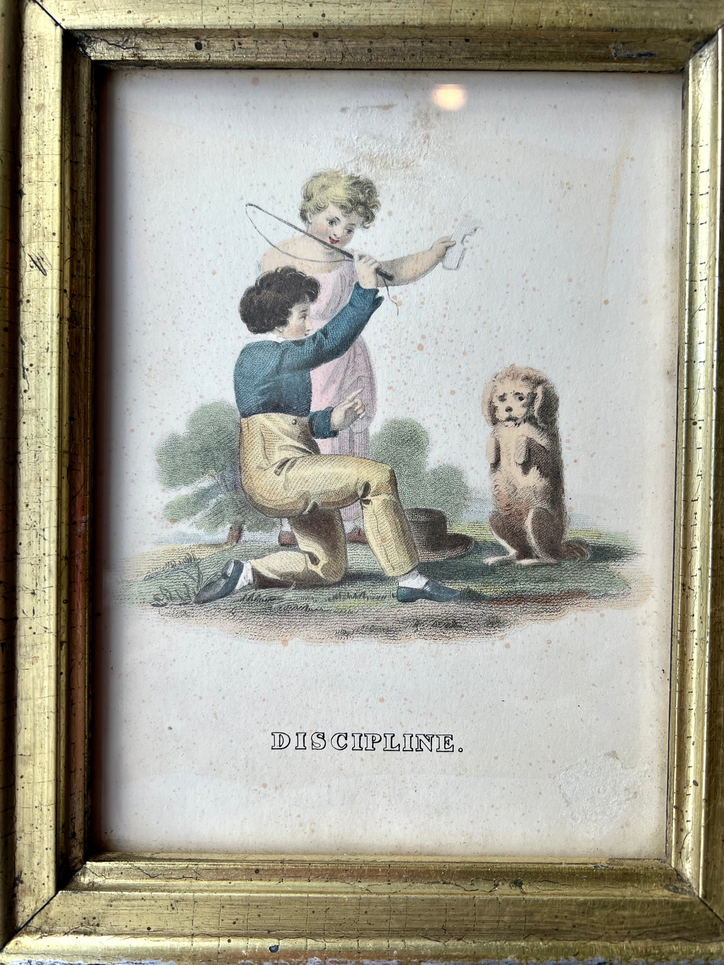 "Discipline" Dog Print