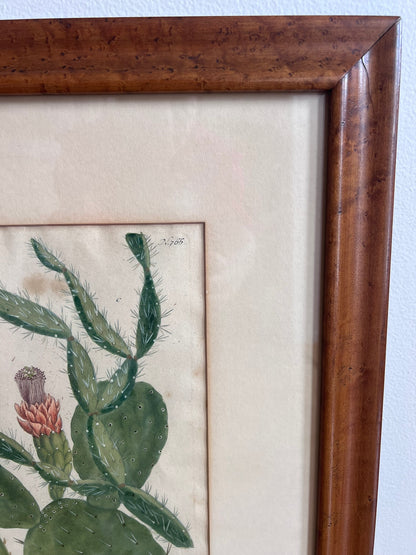 Botanical Print in Maple Frame