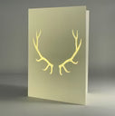 Gold Leaf Cards with Envelope