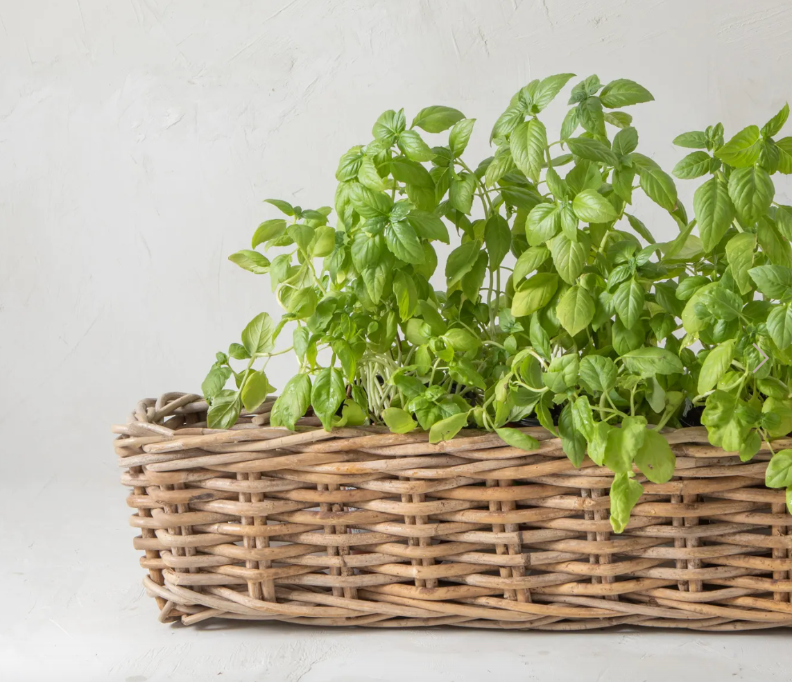 Rectangular Woven Rattan Planter with Plastic Insert