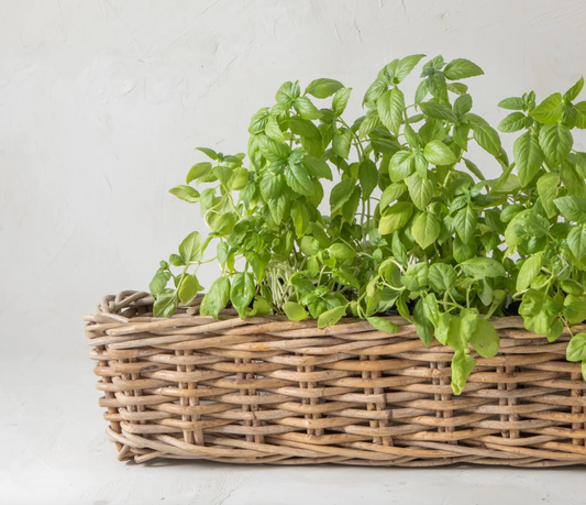 Rectangular Woven Rattan Planter with Plastic Insert
